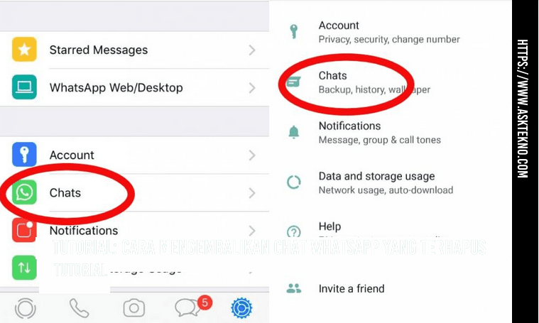 AskTekno | Tutorial: Cara Mengembalikan Chat WhatsApp yang Terhapus